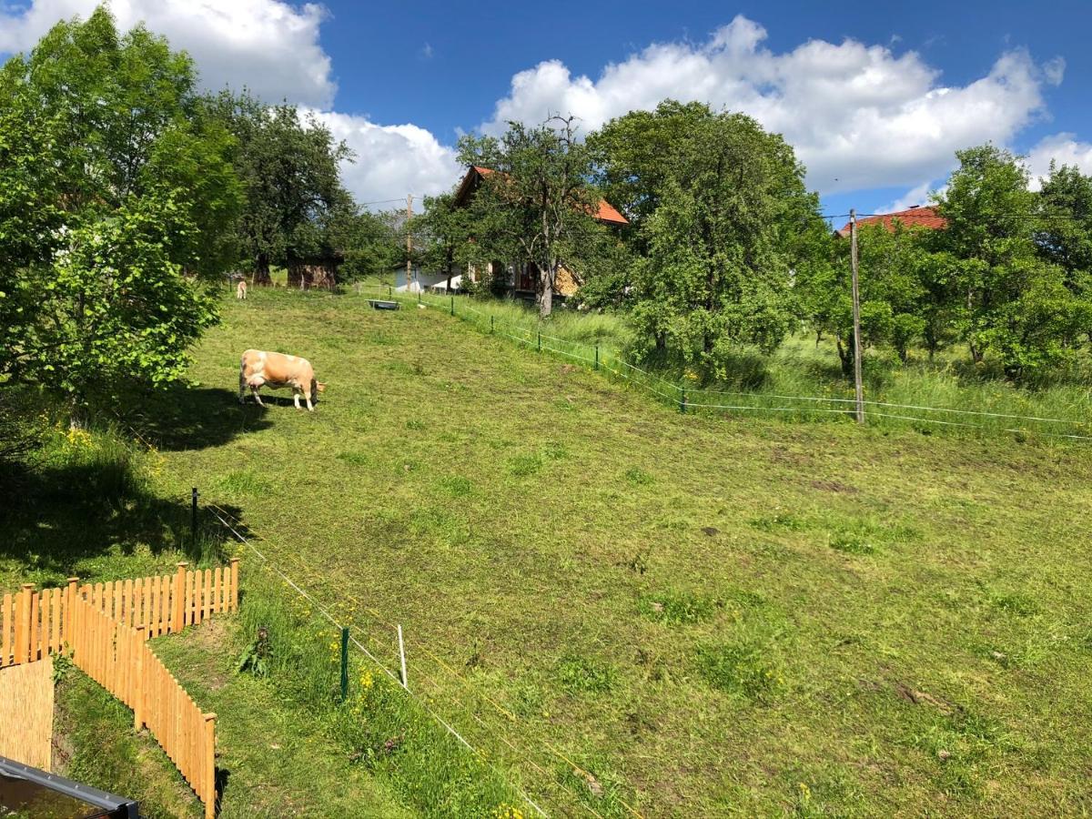 Ferienwohnung Fam. Unterberger Bad Goisern Luaran gambar
